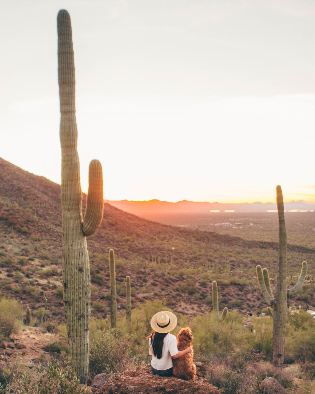 Route 66 Road&nbsp;Trip