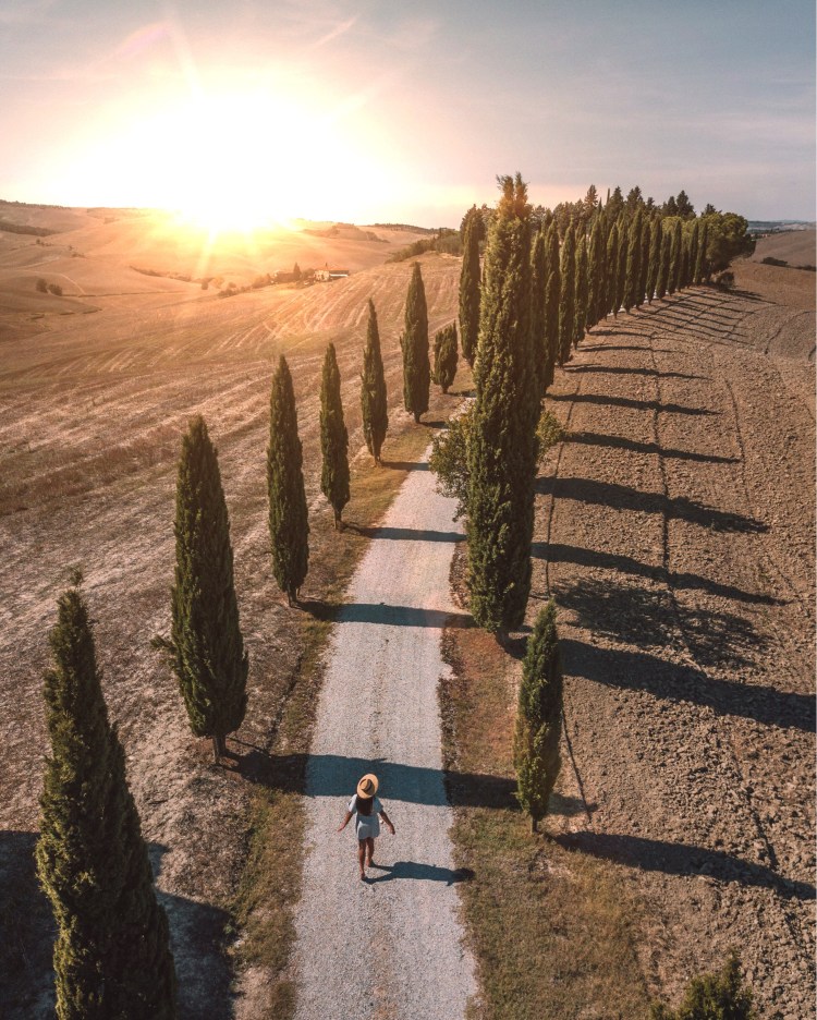 Under the Tuscan Sun